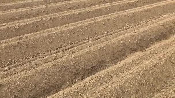 Свежевспаханная почва — стоковое видео