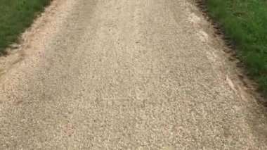 Bakış açısı bir alan yolu üzerine yürüme