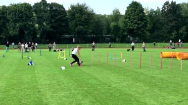 Dişi köpek eğitmeni komutları yavru köpek