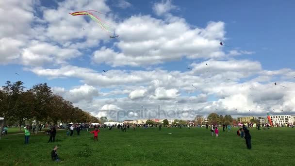 Hundratals drakar sväva på himlen under kite festival den tyska återföreningen dagen — Stockvideo