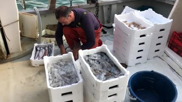 Un pescatore sta selezionando la sua cattura su un peschereccio ancorato — Video Stock