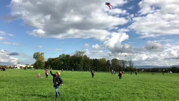 Hundratals drakar sväva på himlen under kite festival den tyska återföreningen dagen — Stockvideo