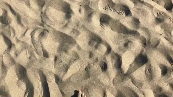 Mann läuft barfuß am Sandstrand in Ozeanwelle — Stockvideo