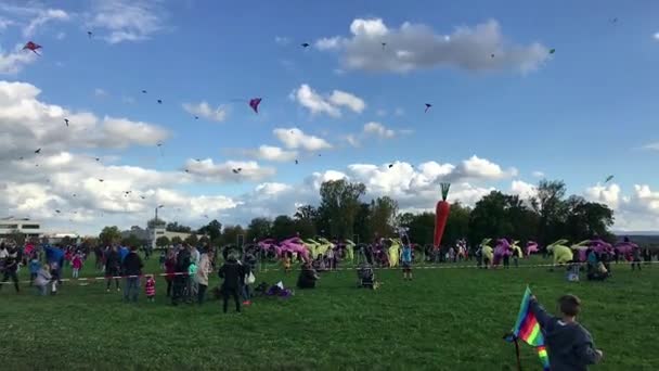 Centenas de pipas estão subindo no céu durante o festival de pipa no Dia da Reunificação Alemã — Vídeo de Stock