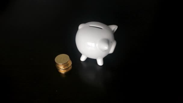 Vrouw een Bitcoin ingebruikneming een piggy bank — Stockvideo