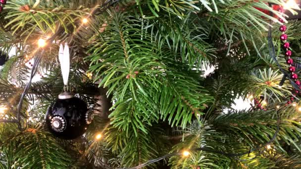 Decorar un árbol de Navidad — Vídeo de stock