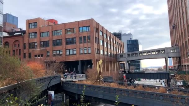 New York City, Ny-Nov: 15 Kasım 2015 'te New York' un Chelsea bölgesindeki High Line Park, arkadaşlarınız ve ailelerinizin açık havada eğlenebileceği bir yerdir.. — Stok video