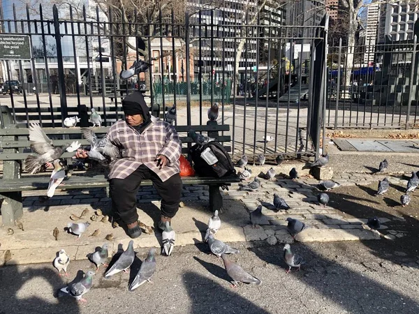 Manhattan street scene: A homeless man is feeding birds and pigeons in New York — Stock Photo, Image