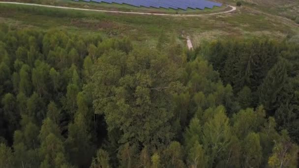 Luchtfoto van een bos in Duitsland — Stockvideo