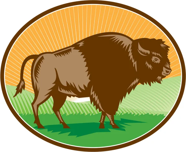 American Bison Oval Woodcut — Stock Vector