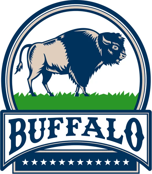 Amerikanischer Bison Buffallo Banner Kreis Holzschnitt — Stockvektor