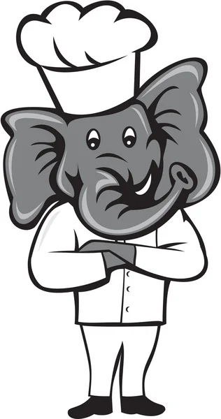 Chef-kok olifant armen gekruist staande Cartoon — Stockvector