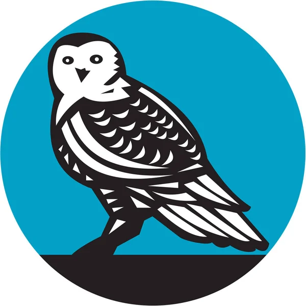 Snowy Owl Circle Retro — Vector de stoc