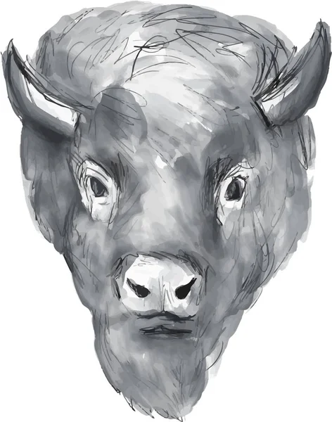 美洲野牛头水彩 — 图库矢量图片