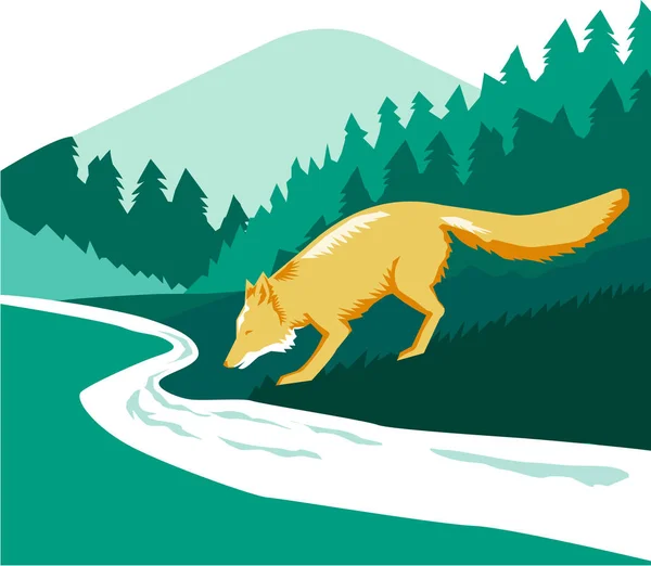 Fox ivás folyó patak erdő tér Retro — Stock Vector