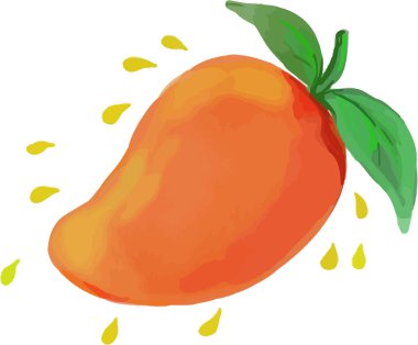 Sulu Mango meyve suluboya
