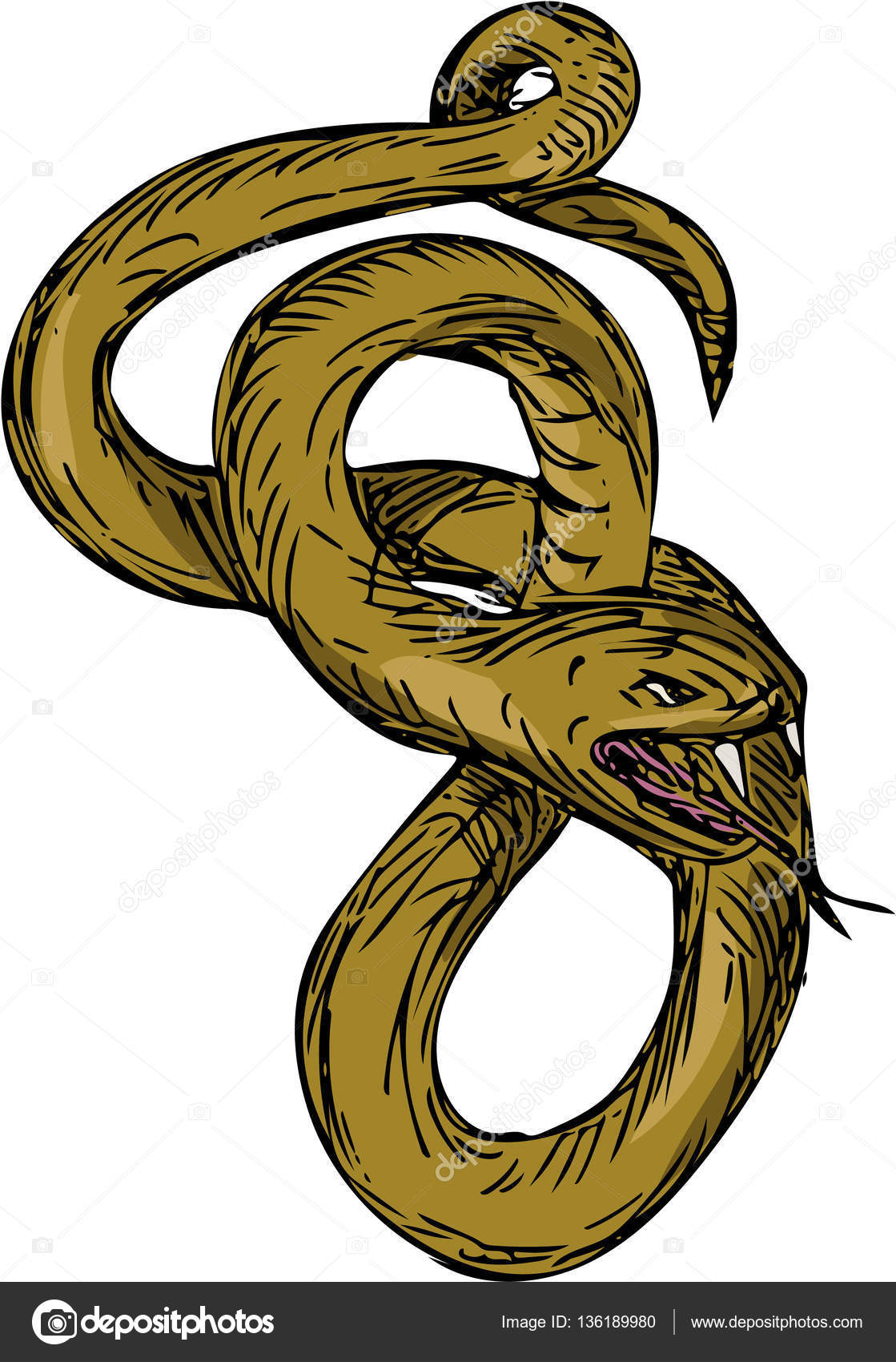 Illustrazione di stile di schizzo di un serpente Vipera d avvolgimento fino a spirale con la bocca aperta e lingua fuori pronto a balzare insieme su fondo