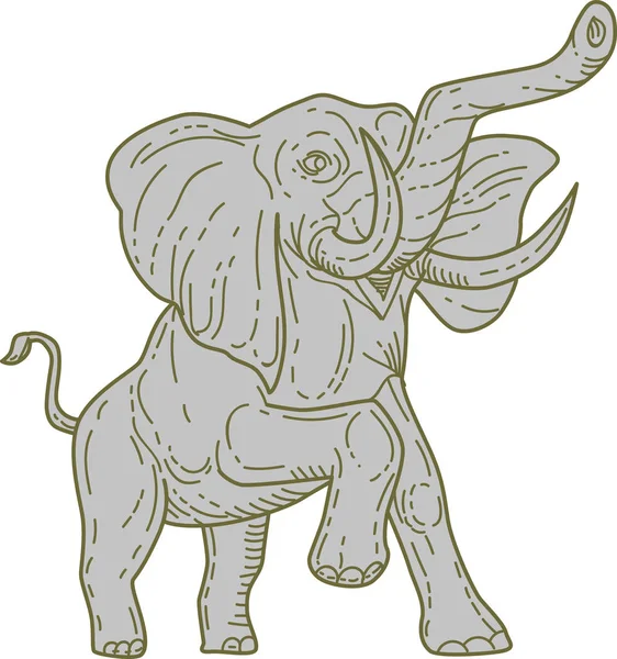 Afrikaanse olifant steigerende Mono Line — Stockvector