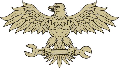Amerikan kartal anahtarı çizim tutarak