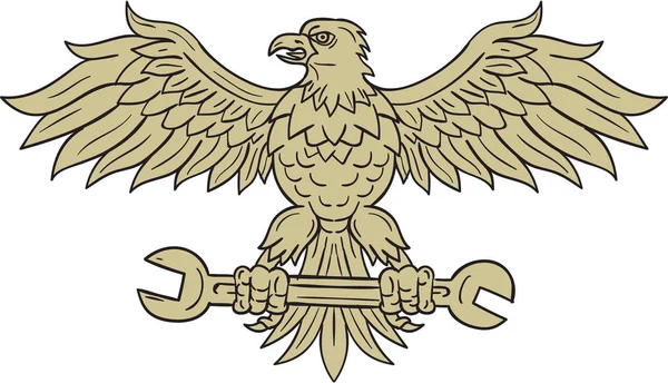 American Eagle Embrague Spanner Dibujo — Vector de stock