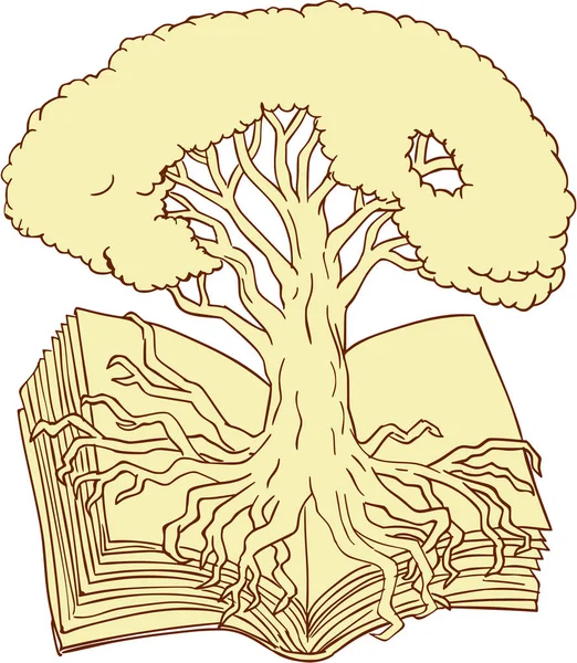 Oak Tree rotade på boken ritning — Stock vektor