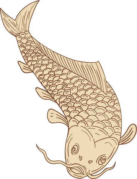 鯉錦鯉が図面をダイビング — ストックベクタ