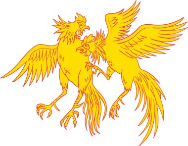 Horoz dövüşü horoz horoz çizim