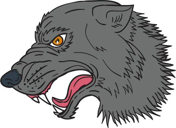 Lobo gris cabeza gruñendo dibujo — Vector de stock