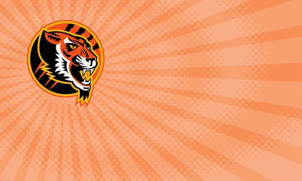 Tiger Athletics Business card — Stock Photo, Image