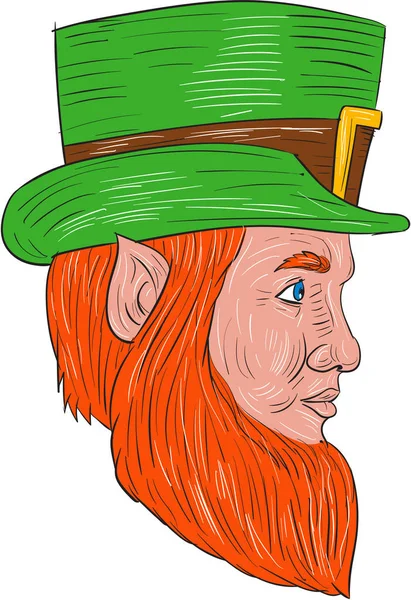 Leprechaun Head Side Drawing — Stock Vector