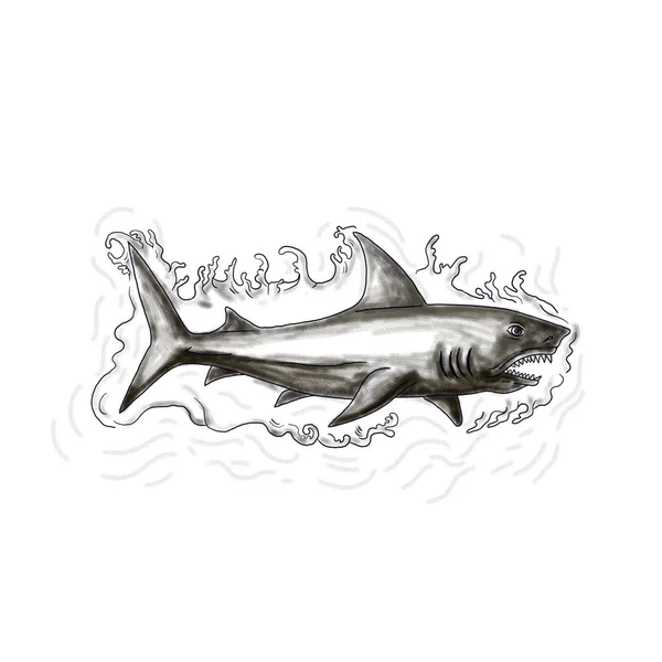 Tatouage d'eau de natation de requin — Photo