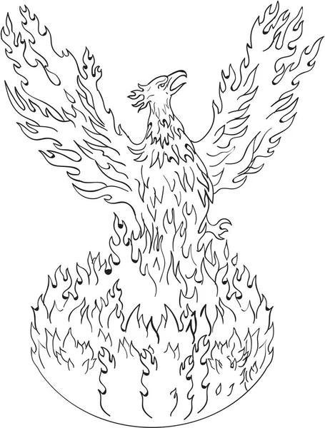 Desenho em preto e branco de chamas Fiery Phoenix Rising — Vetor de Stock