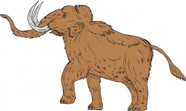 Woolly Mammoth Prancing Drawing clipart