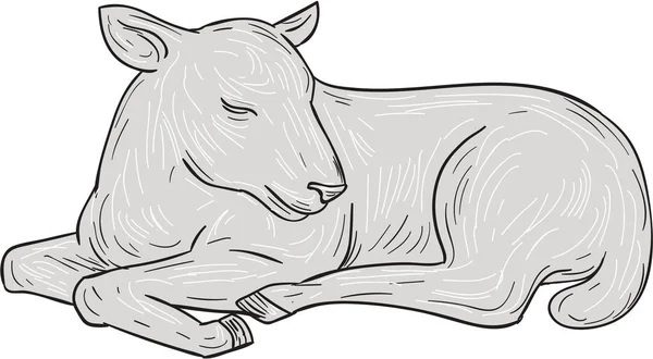 Bárány alvó rajz — Stock Vector
