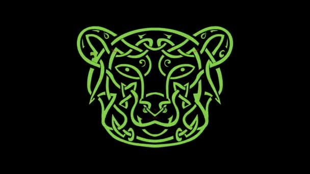 Bear and Bull Celtic Knot Morph — Stock Video