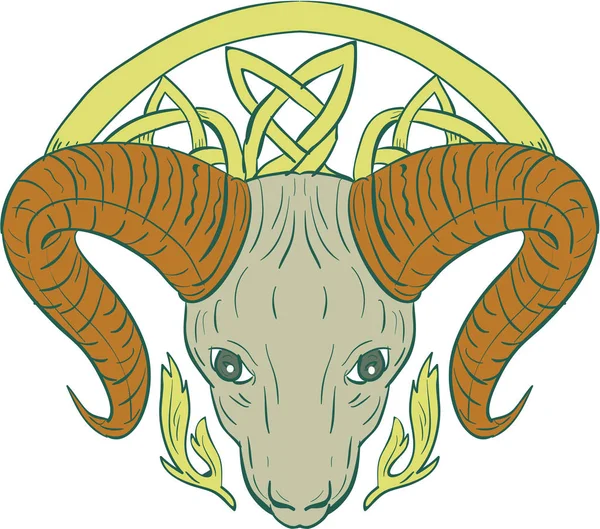 Nudo celta cabeza de carnero — Vector de stock