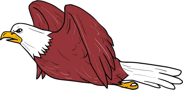 Calvo águila volando dibujos animados — Vector de stock