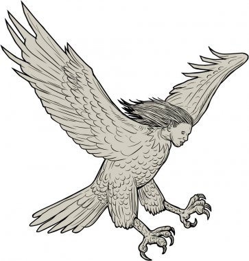 Çizim Swooping Harpy 