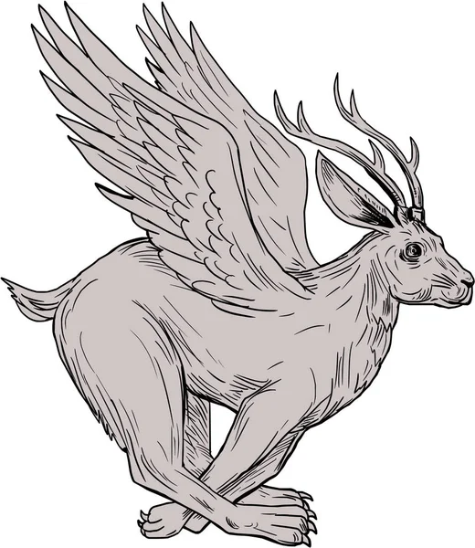 Wolpertinger uruchomiona strona rysunku — Wektor stockowy