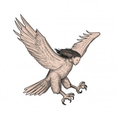 Harpy Swooping dövme