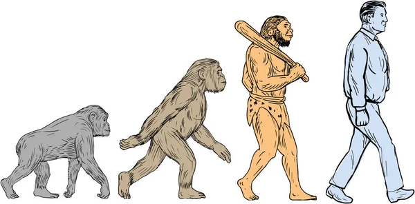 Desenho de caminhada da evolução humana —  Vetores de Stock