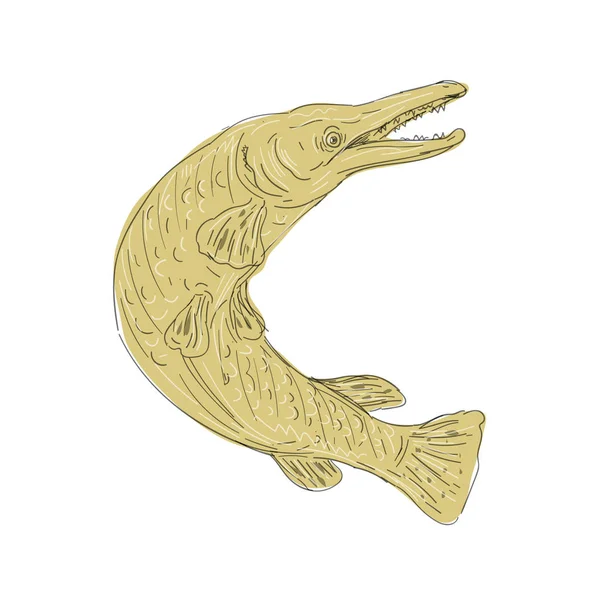Cocodrilo Gar peces natación hasta dibujo — Archivo Imágenes Vectoriales