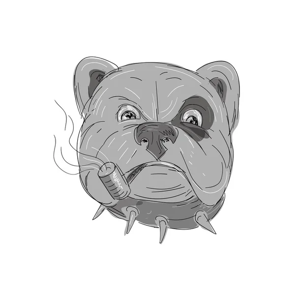 Angry Bulldog Smoking Corn Cob Pipe Drawing — Stock Vector