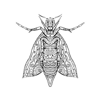 Fil Hawk güve Mandala