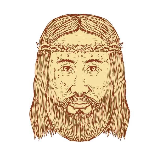 Jesus com Coroa de Espinhos Desenho de Rosto — Vetor de Stock