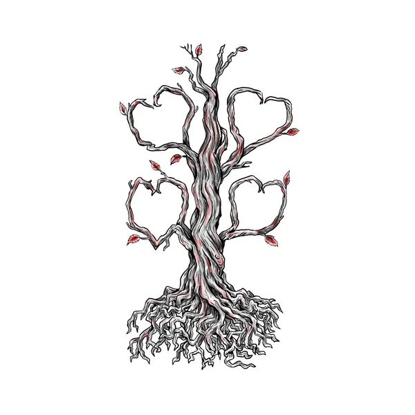 Budaklı meşe ağacı kalp dövme — Stok fotoğraf