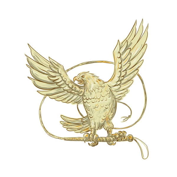 Kırbacı çizim kavrayan kartal