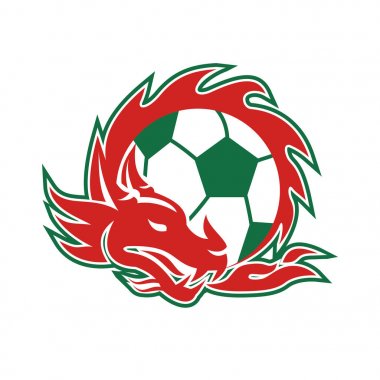 Galce ejderha futbol topu 