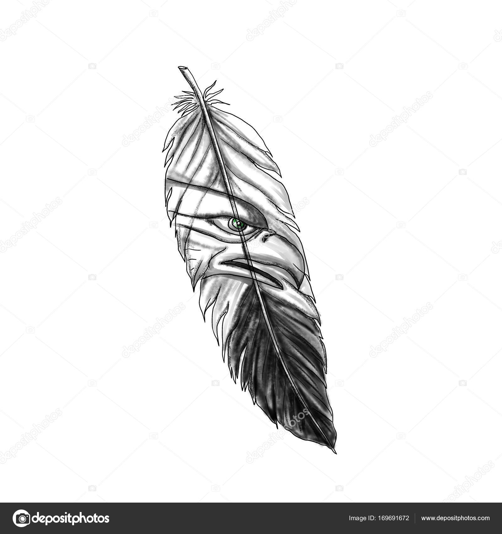 biblical feather tattoo｜TikTok Search