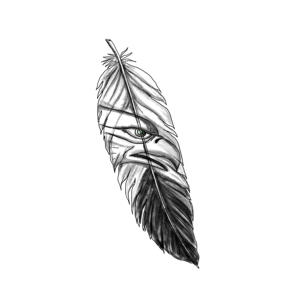 Sea Eagle Feather Tattoo — Stock fotografie